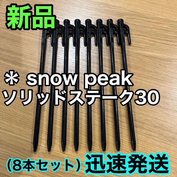 新品★スノーピーク(snow peak) ペグ 8本セット ソリッドステーク 30 R-103 鋳造ペグ キャンプ テント設営