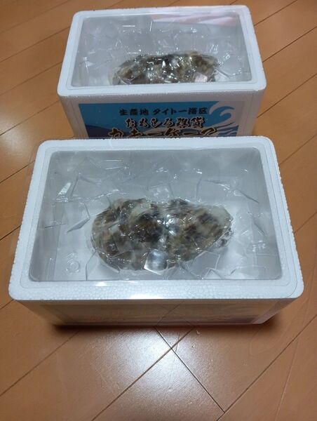おもしろ雑貨 カキーケース