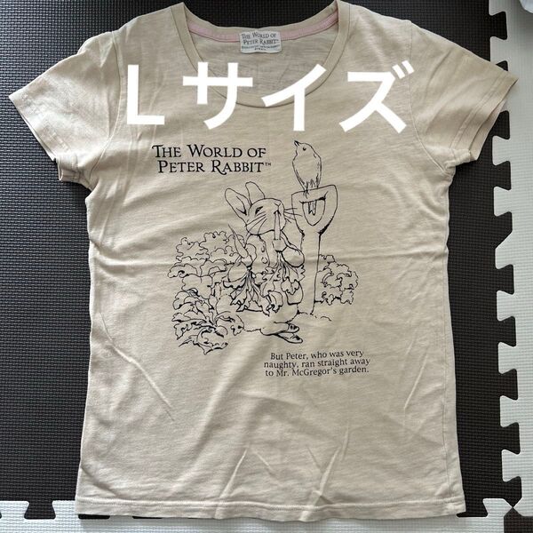 ピーターラビット Tシャツ 半袖 Lサイズ レディース