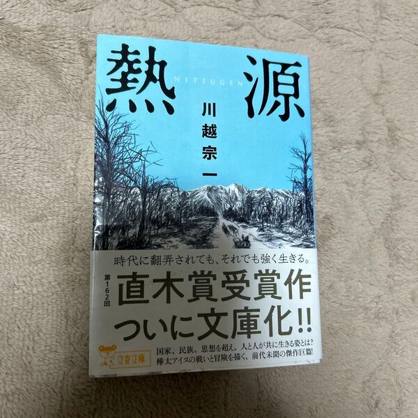 熱源 (文春文庫 か80-2) 川越宗一/著