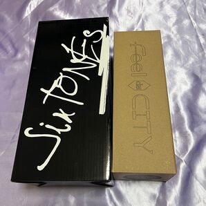 SixTONES ペンライト2本セット