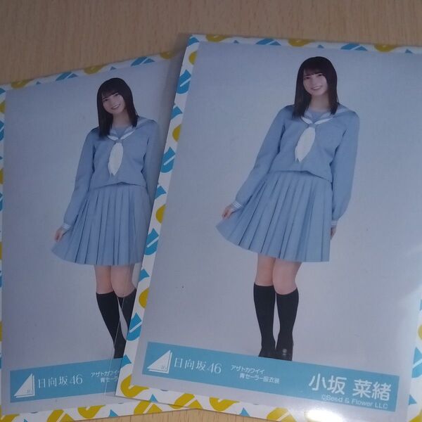 小坂菜緒(日向坂46)生写真
