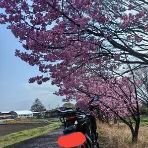KTM Duke 125/390 用リアキャリア