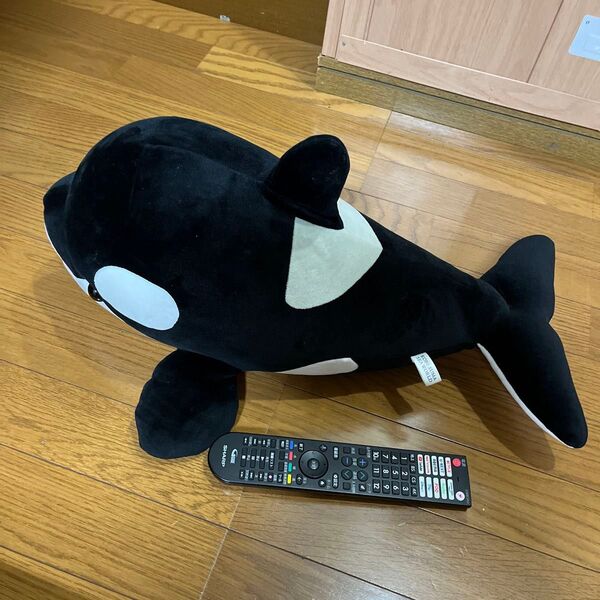 シャチ ぬいぐるみ 須磨水族館 須磨シーワールド シャチ ぬいぐるみ