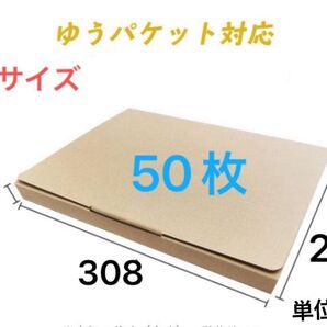 薄型ダンボール 50枚セット