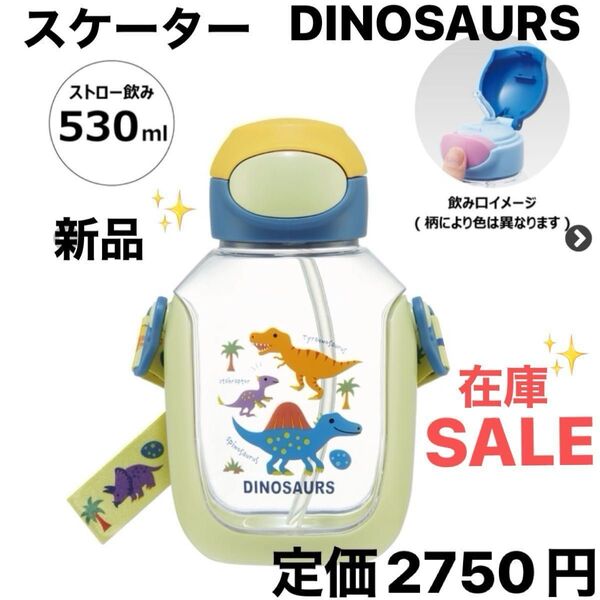 【在庫セール】スケーター ワンプッシュストローボトル 530ml ディノサウルス ピクチャ