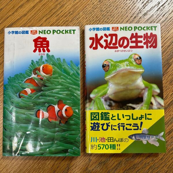 魚 水辺の生物 (小学館の図鑑NEO POCKET)2冊