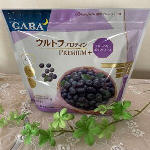 カーブス★GABA米麹入りウルトラプロテイン プレミアム+ポリフェノール★濃厚ブルーベリー味