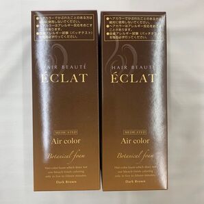 ヘアボーテ エクラ エアカラーフォーム 白髪用 ダークブラウン 2個セット