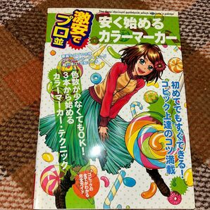 激安でプロ並みカラーマーカー