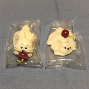 ホイップわんちゃんのくらし