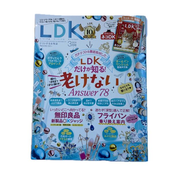 LDK the Beauty 2024年3月号 特別付録 ネコDK付き
