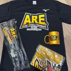 阪神タイガース 2023年優勝記念グッズ ARE Tシャツ マグカップ メガホン