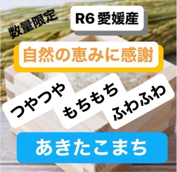 【お試しサイズ】おいしいお米を愛媛から R6年産 農家のお米 あきたこまち 玄米2kgを精米して発送します 農家直送 健康志向