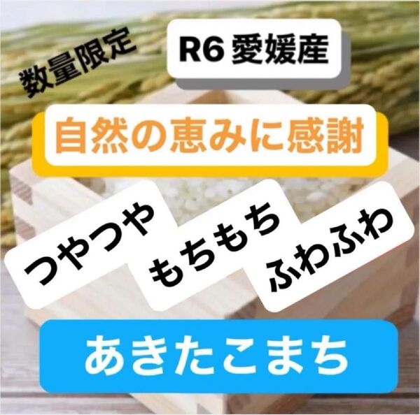 【お試しサイズ】おいしいお米を愛媛から R6年産 農家のお米 あきたこまち 玄米2kgを精米して発送します 農家直送 健康志向