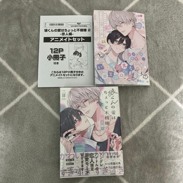 狼くんの愛はちょっと不機嫌2 恋人編 二目 アニメイト BL マンガ特典セット