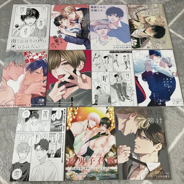 アニメイトブックフェア2021 2022 小冊子 BL セット 特典