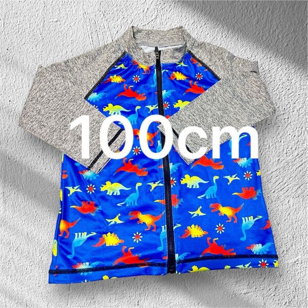 男の子 ラッシュガード 恐竜柄 100cm