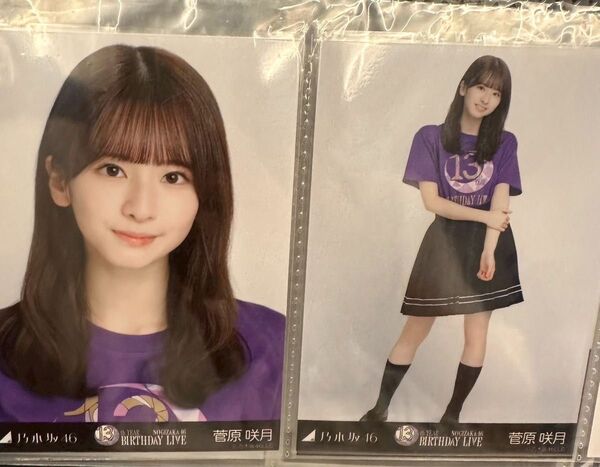 乃木坂46 生写真 13thバスラ ライブtシャツ 菅原咲月