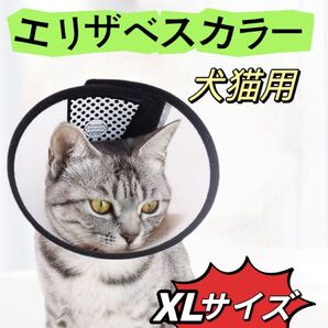エリザベスカラー XLサイズ 軽量 犬 猫 入浴/術後の舐め防止 柔らかい 高品質