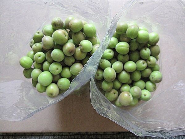 家庭用 小梅 静岡県産 3kg / 梅干し 梅酒 加工用