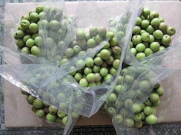 家庭用 小梅 静岡県産 5kg / 梅干し 梅酒 加工用