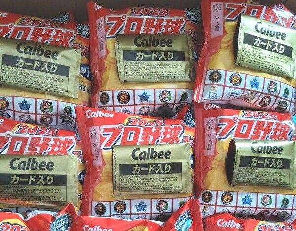 【お菓子のみ】プロ野球チップス2025 第1弾 ポテトチップス うす塩味 108袋 まとめ売り 匿名配送料無料