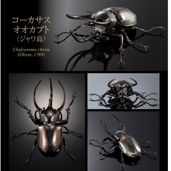 いきもの大図鑑アドバンス オンライン コーカサスオオカブト(ジャワ島) ディスプレイスタンドセット