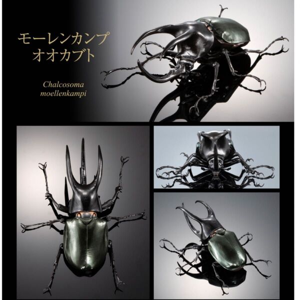 いきもの大図鑑アドバンス オンライン版 モーレンカンプオオカブト ディスプレイスタンドセット