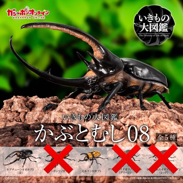 【オンライン版】いきもの大図鑑 かぶとむし08 ネプチューンオオカブト(改) ヒルスシロカブト セット