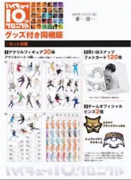 ハイキュー 10th クロニクル グッズ付き同梱版