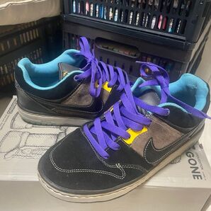 NIKE dunk low ダンク ナイキ スニーカー 26.5