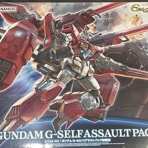 ガンプラ HG ガンダム Gセルフ アサルトパック装備型 未開封 未組立