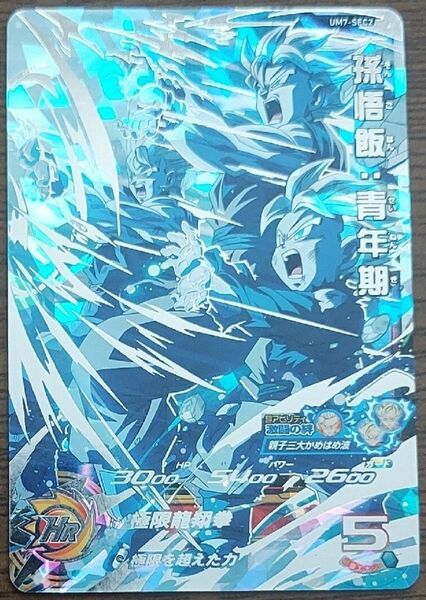 スーパードラゴンボールヒーローズ um7-sec2 孫悟飯:青年期