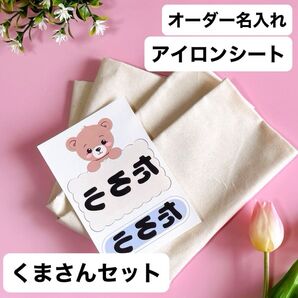 【初めての方も安心!練習用布付き】アイロンシート オーダー名前入り 布用アイロンシート ハガキサイズ1枚 淡色用 No,011