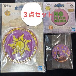 ディズニー 刺繍 バッジ ラプンツェル パスカル 一番くじ セット 缶バッジ 刺繍缶バッジ