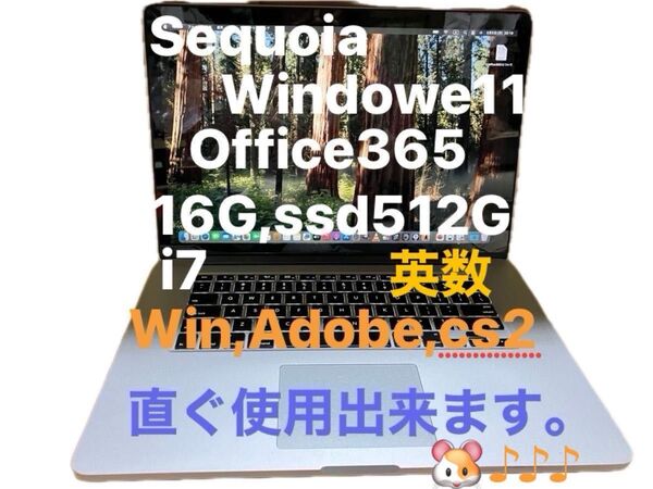 Macbook pro,2014,15、office365,2025,Sequoia15,4.1,windows11,ssd512