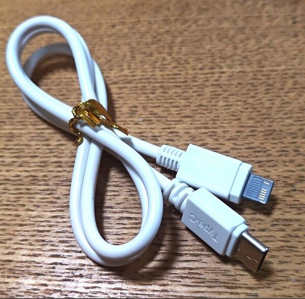 ⑨USBケーブル iPhone USB-C⇒ Lightning 55cm #USB府
