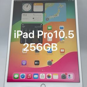ipad Pro10.5 インチ256GB
