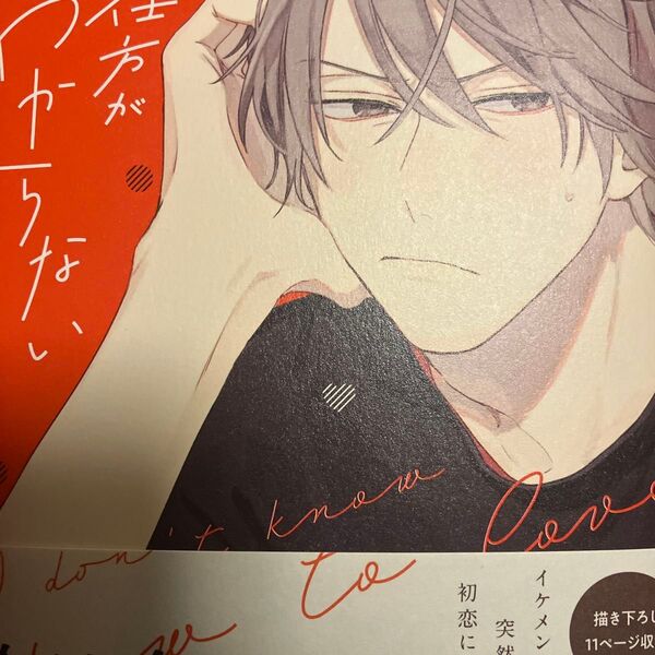 恋の仕方がわからない (B’s‐LOVEY COMICS) まちお郁/著