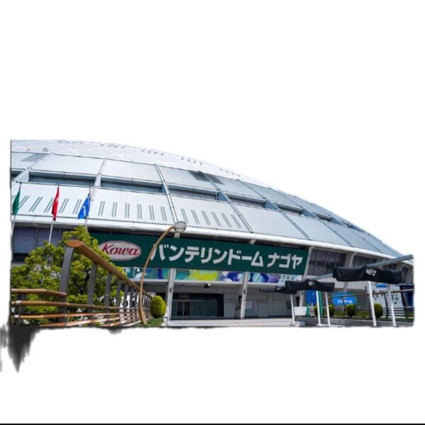 中日ドラゴンズ vs 阪神タイガース チケット パノラマB指定席 1枚 一番端