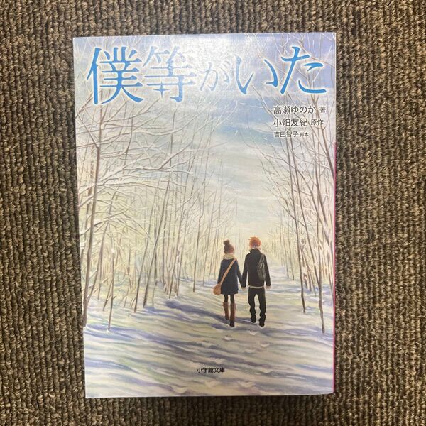 僕等がいた 高瀬ゆのか著 小畑友紀、原作 吉田智子脚本