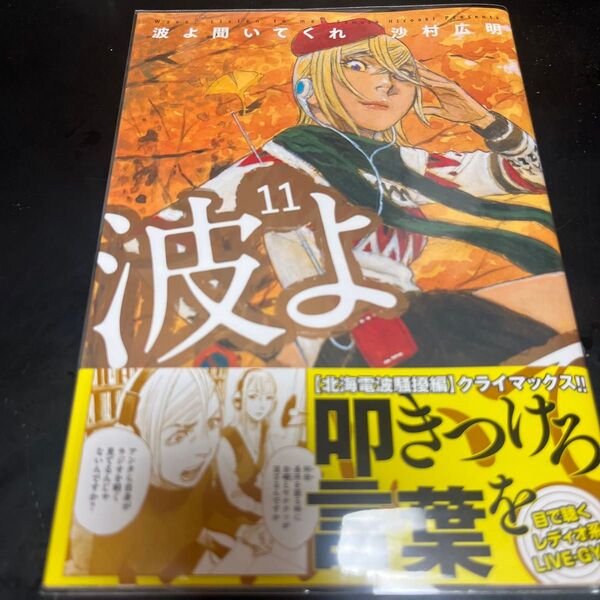 波よ聞いてくれ 11巻