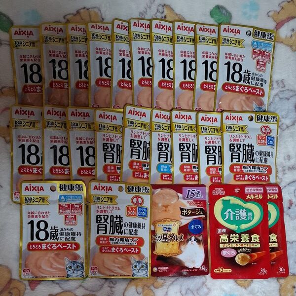 猫 フード アイシア 猫用 健康缶 ペースト まとめ売り 24袋 腎臓の健康維持用 ウエットフード