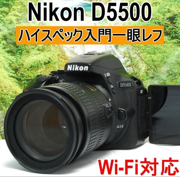 取回し抜群の初心者向け高性能一眼レフ Nikon D5500 軽量 高画質!!