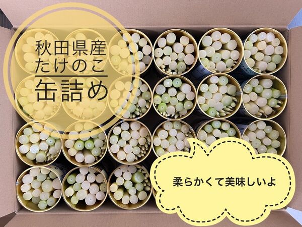 秋田県産 たけのこ 缶詰 根曲り竹