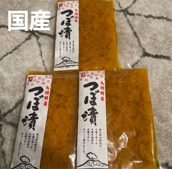 九州特産 九州土産 ご当地 お取寄せオニマル つぼ漬 漬物 3袋セット国産大根使用