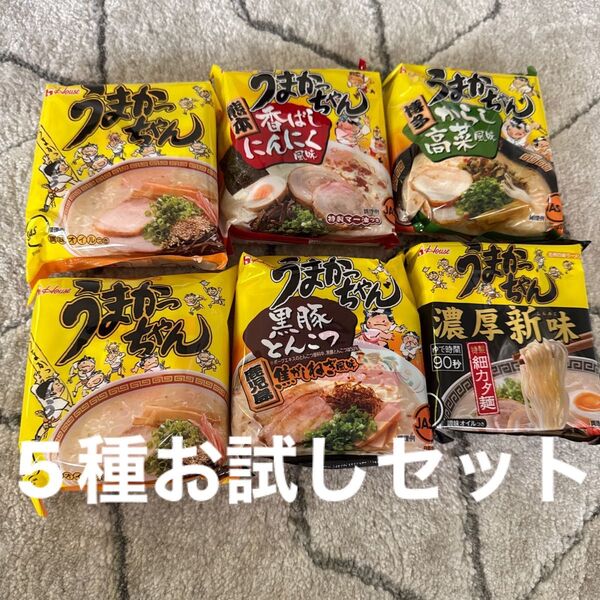 ハウス食品 うまかっちゃん 5種 お試しセット 6袋セット