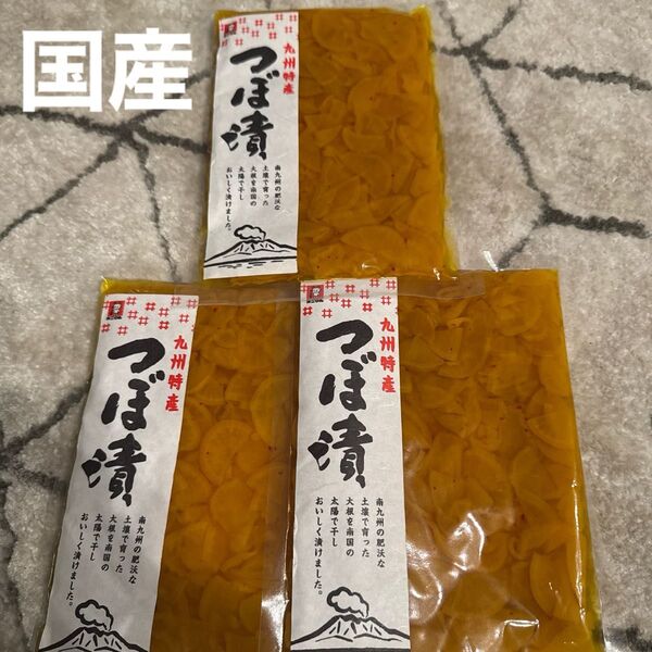 九州特産 九州土産 ご当地 お取寄せオニマル つぼ漬 漬物 3袋セット国産大根使用