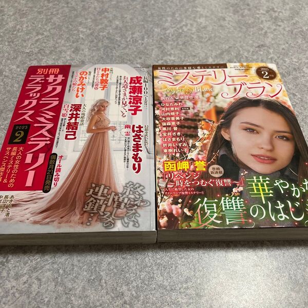 レディースコミック2冊